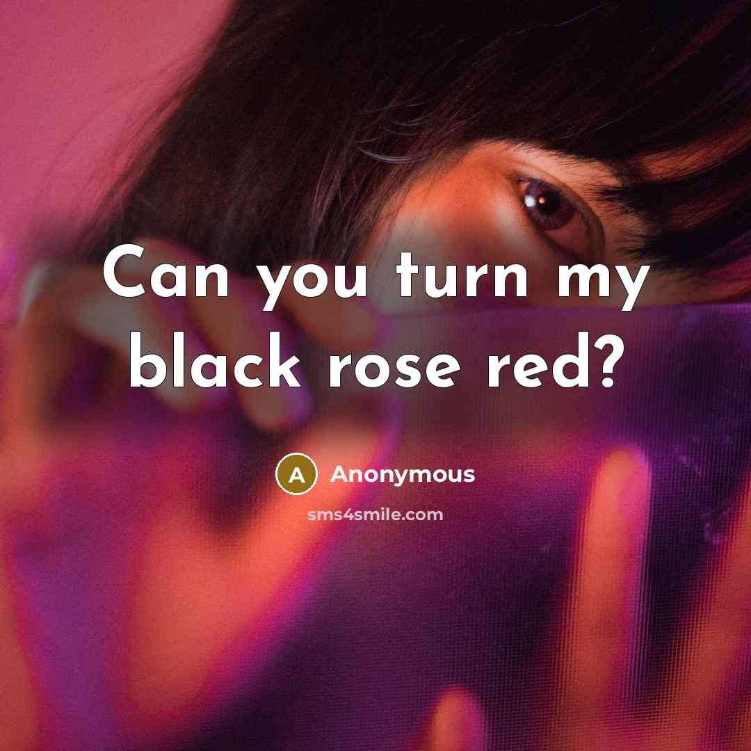 “Can you turn my black rose red?…” quote by Anonymous