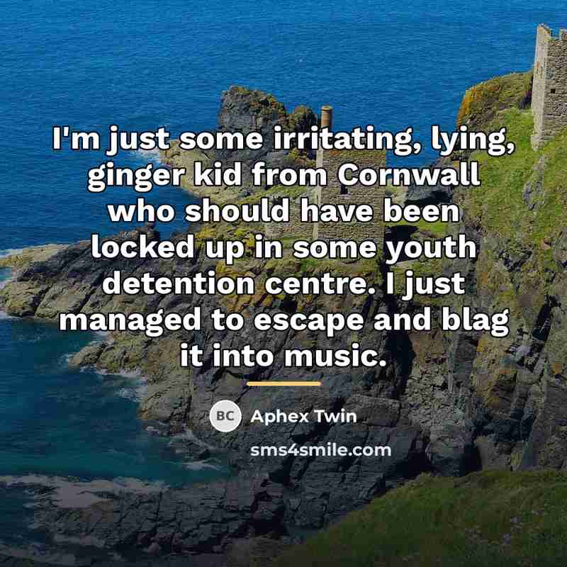 “I'm just some irritating, lying, ginger kid from Cornwall who…” quote by Aphex Twin
