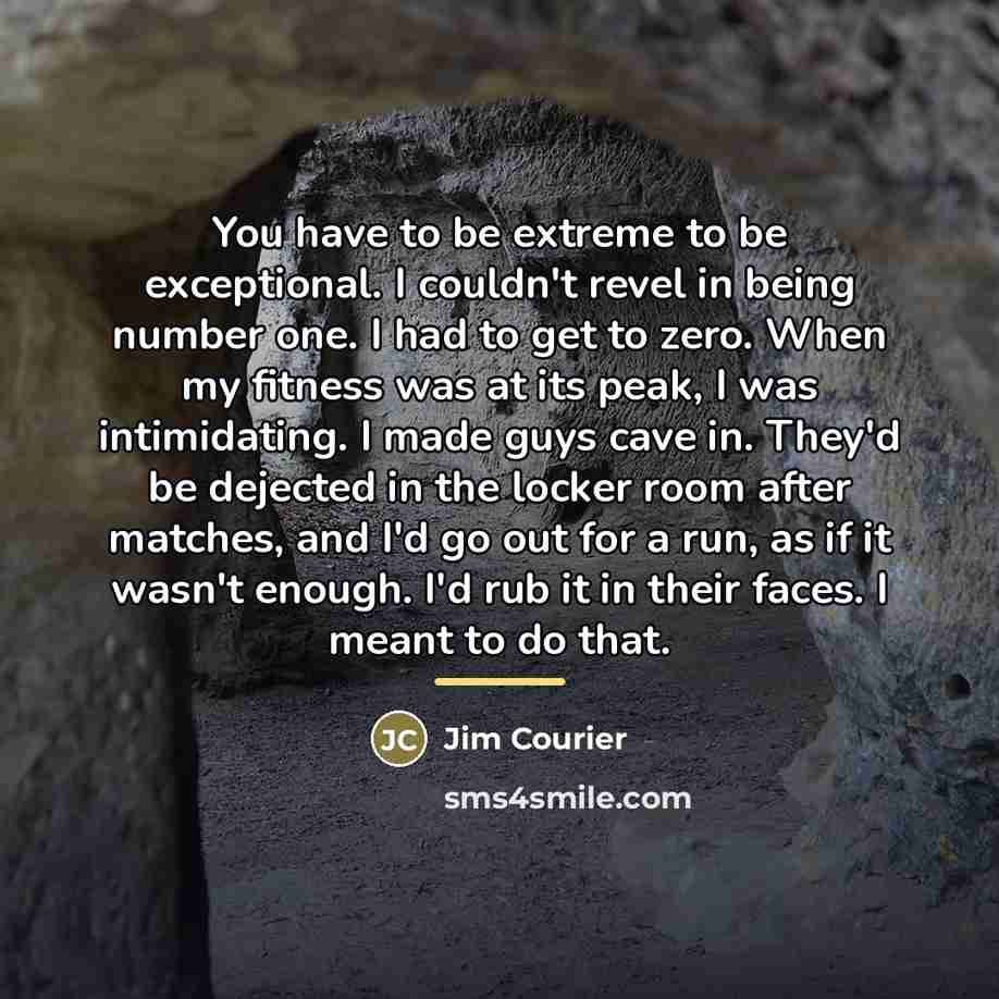 “You have to be extreme to be exceptional. I couldn't…” quote by Jim Courier