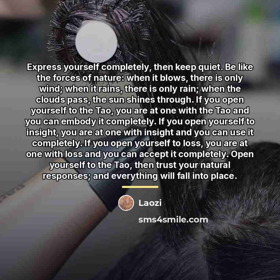 “Express yourself completely, then keep quiet. Be like the forces…” quote by Laozi