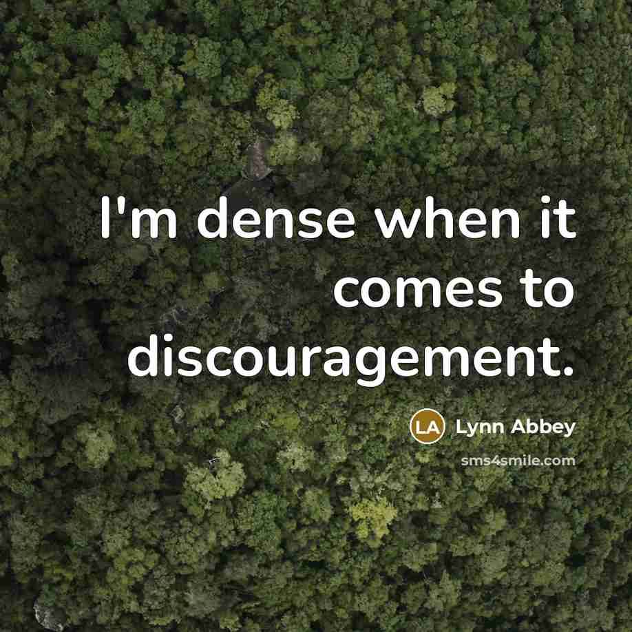 “I'm dense when it comes to discouragement.…” quote by Lynn Abbey