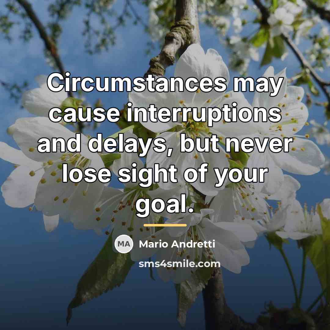 “Circumstances may cause interruptions and delays, but never lose sight…” quote by Mario Andretti
