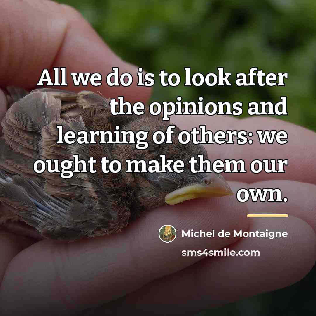“All we do is to look after the opinions and…” quote by Michel de Montaigne