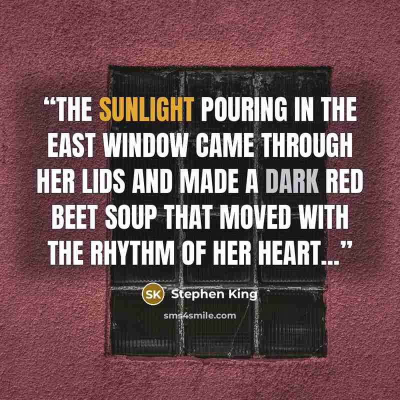 “The sunlight pouring in the east window came through her lids and made a dark red beet soup that moved with the rhythm of her heart...” quote by Stephen King