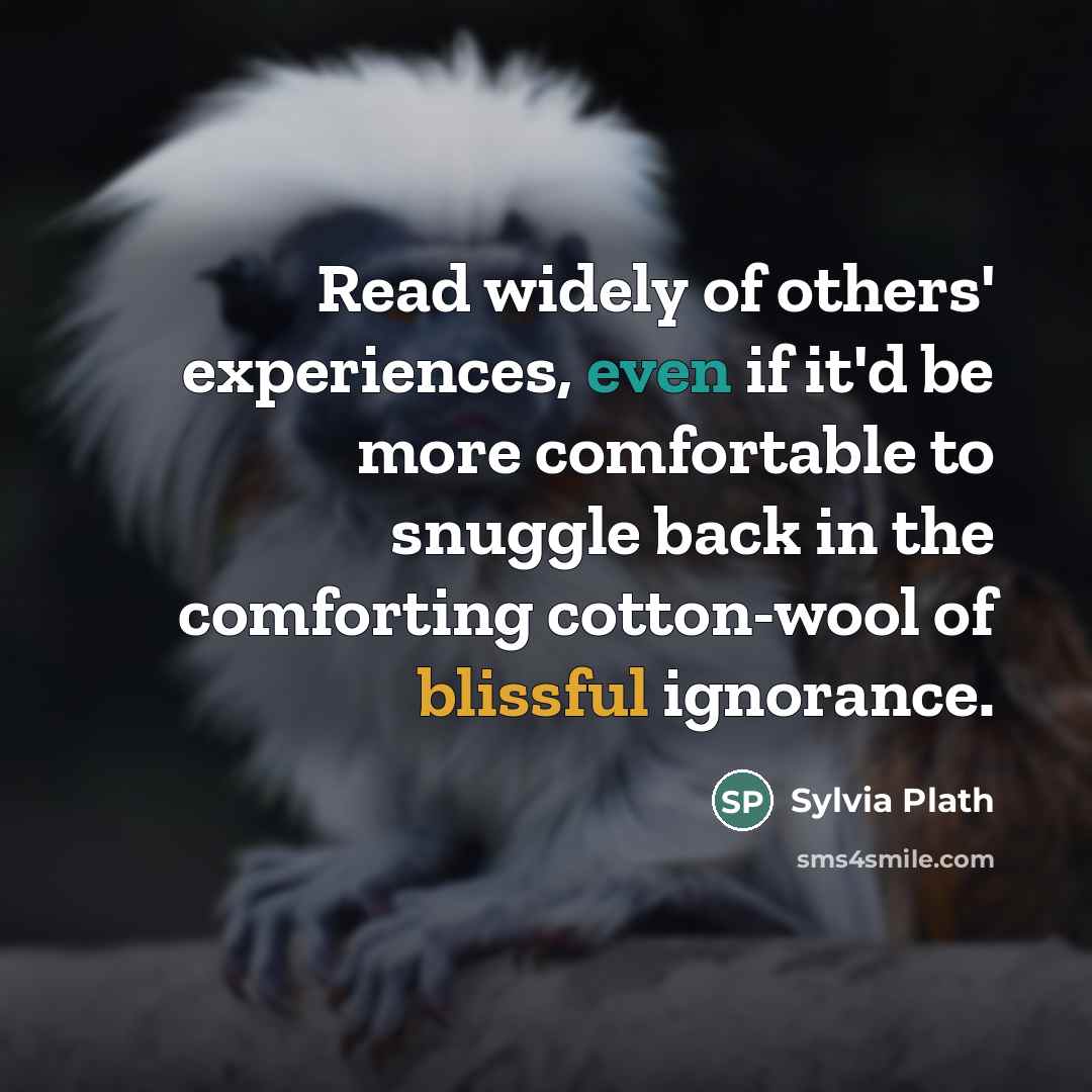 “Read widely of others' experiences, even if it'd be more…” quote by Sylvia Plath