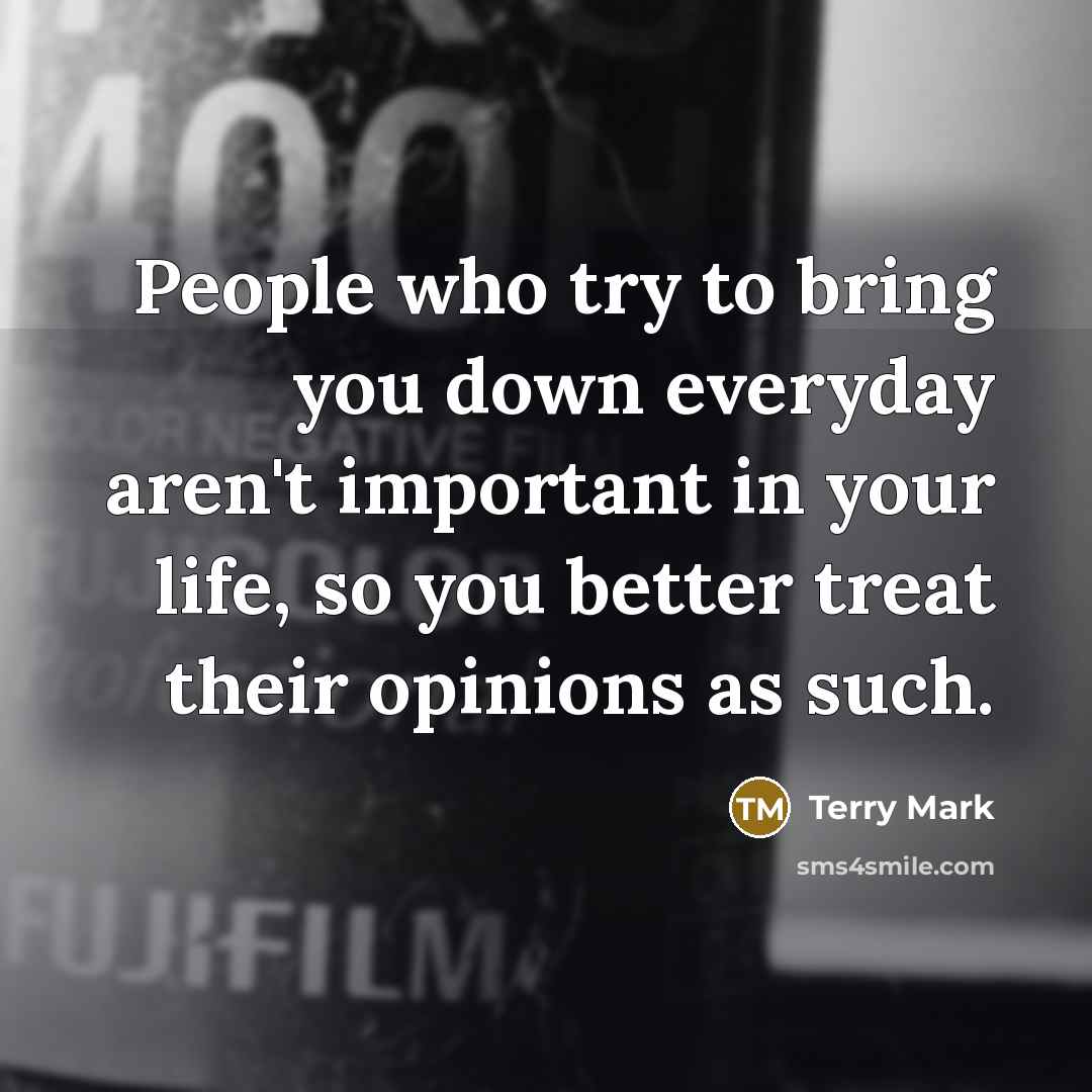 “People who try to bring you down everyday aren't important…” quote by Terry Mark