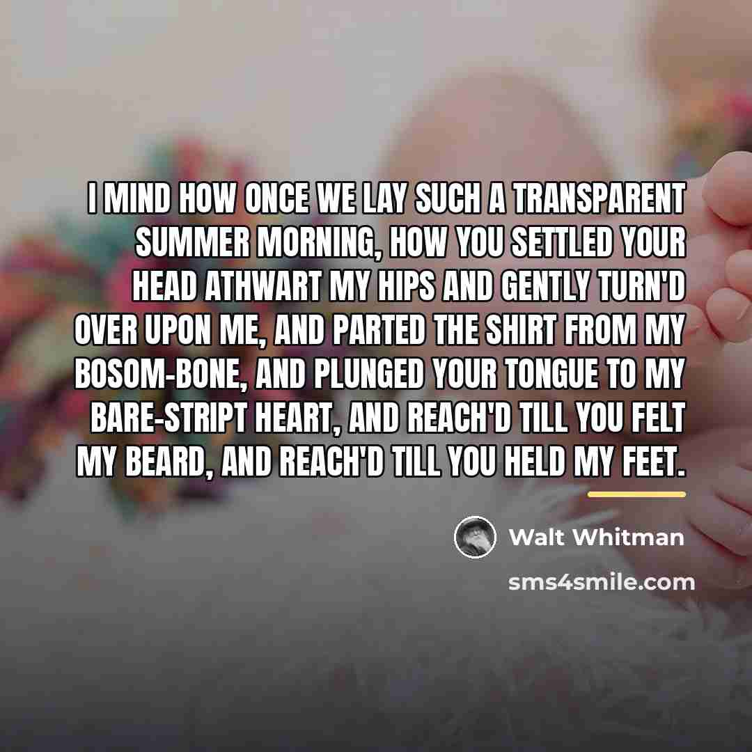 “I mind how once we lay such a transparent summer…” quote by Walt Whitman