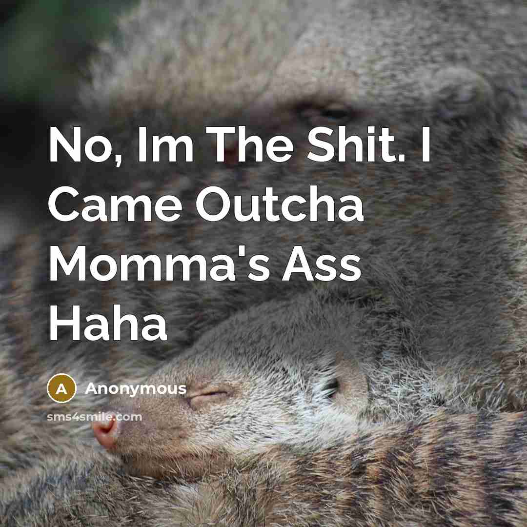 “No, Im The Shit. I Came Outcha Momma's Ass Haha” quote by Anonymous