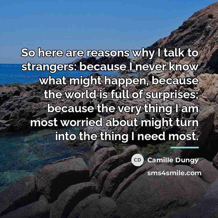 “So here are reasons why I talk to strangers: because…” quote by Camille Dungy