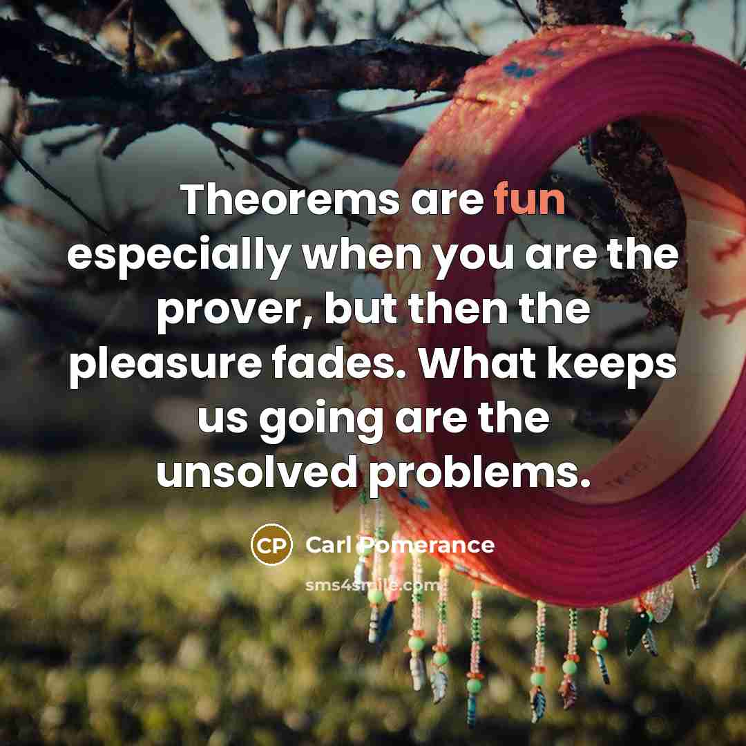 “Theorems are fun especially when you are the prover, but…” quote by Carl Pomerance