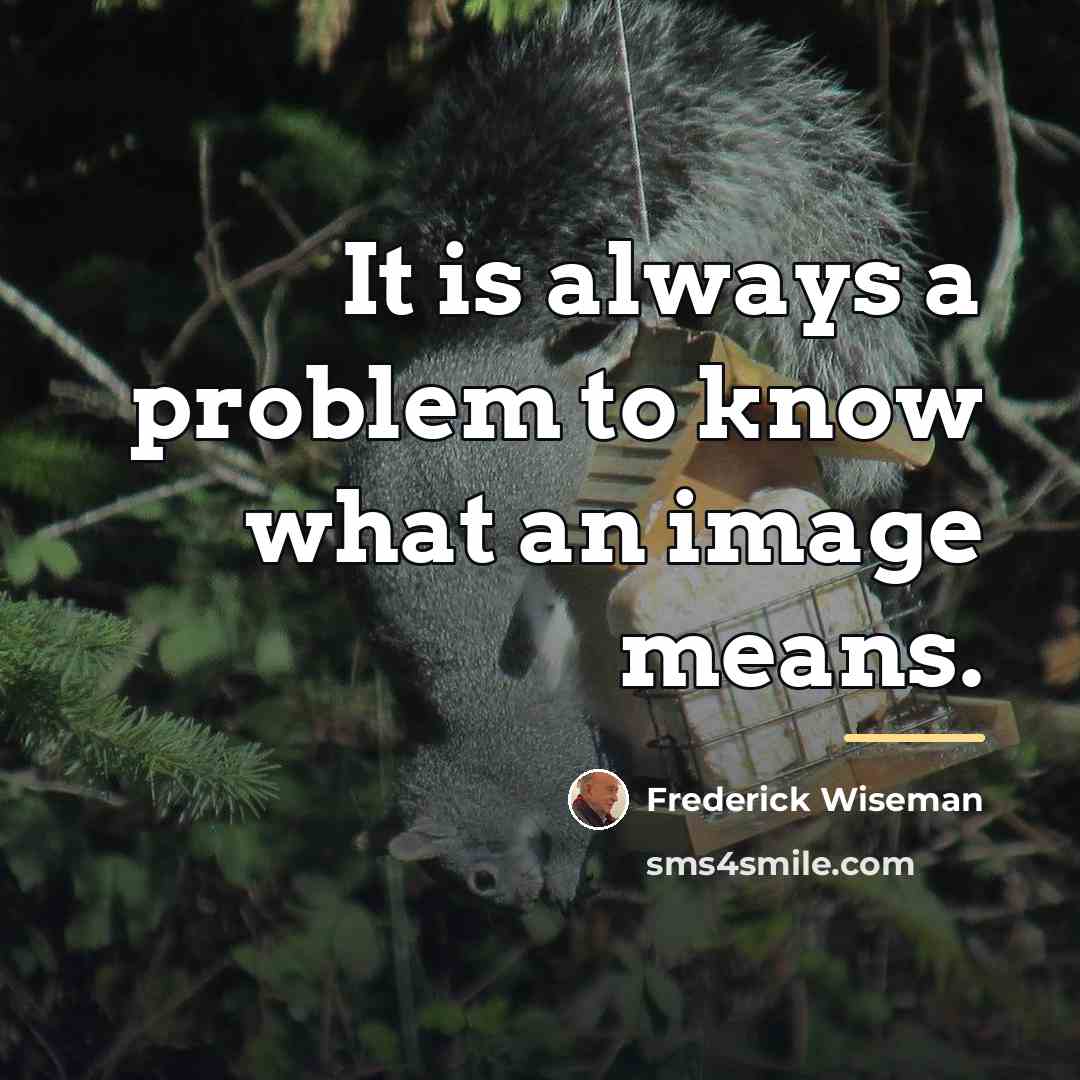 “It is always a problem to know what an image…” quote by Frederick Wiseman