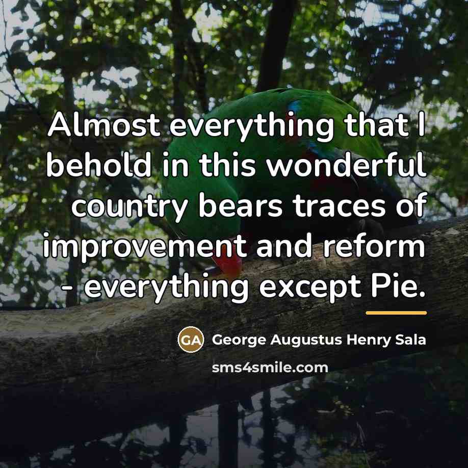 “Almost everything that I behold in this wonderful country bears…” quote by George Augustus Henry Sala