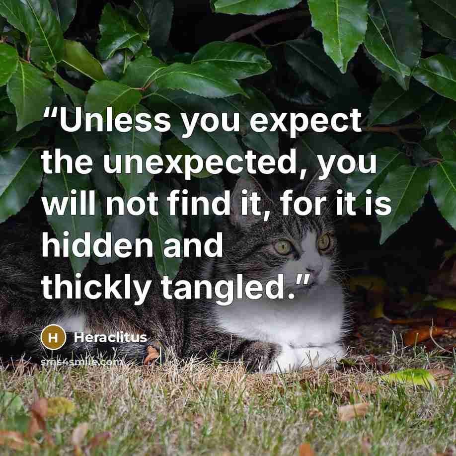 “Unless you expect the unexpected, you will not find it, for it is hidden and thickly tangled.” quote by Heraclitus