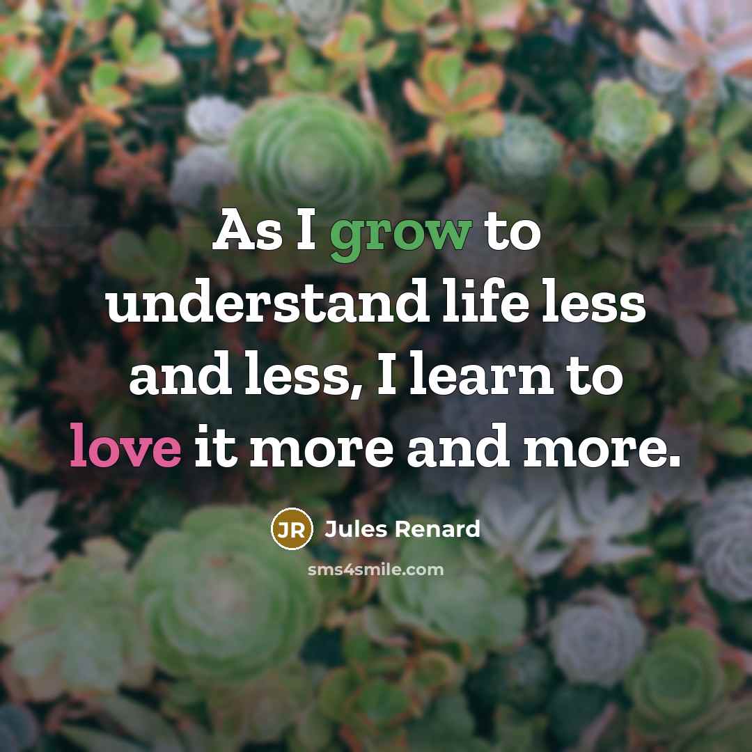 “As I grow to understand life less and less, I learn to love it more and more.” quote by Jules Renard
