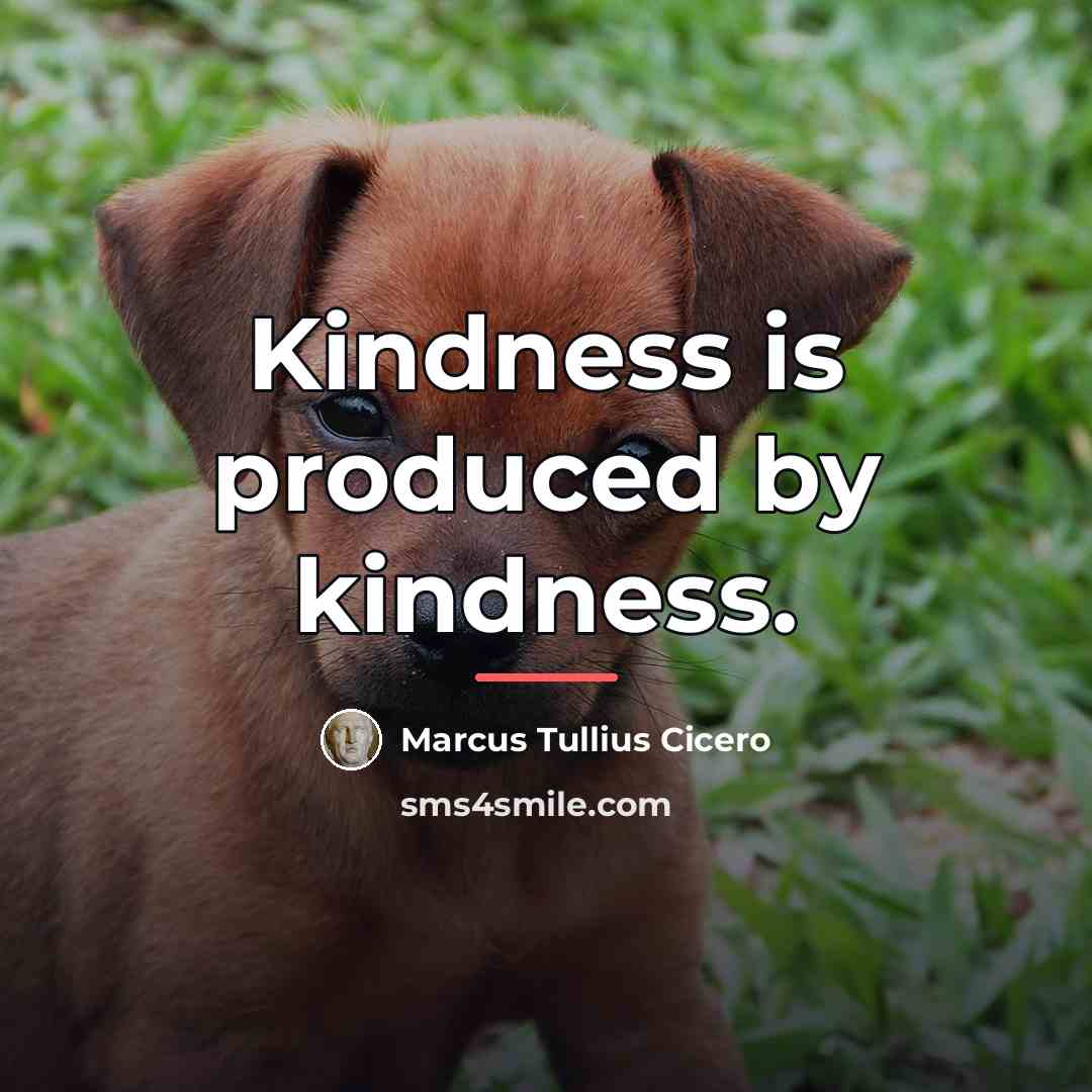 “Kindness is produced by kindness.…” quote by Marcus Tullius Cicero