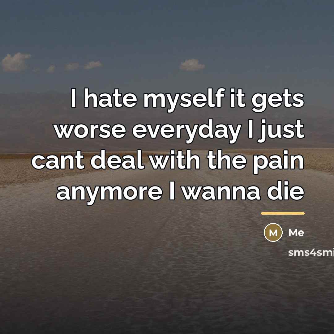 “I hate myself it gets worse everyday I just cant…” quote by Me