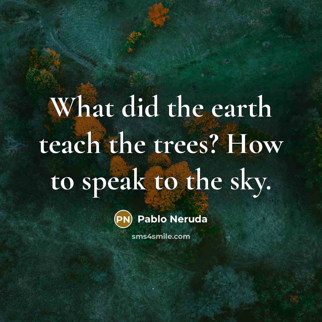 “What did the earth teach the trees? How to speak…” quote by Pablo Neruda