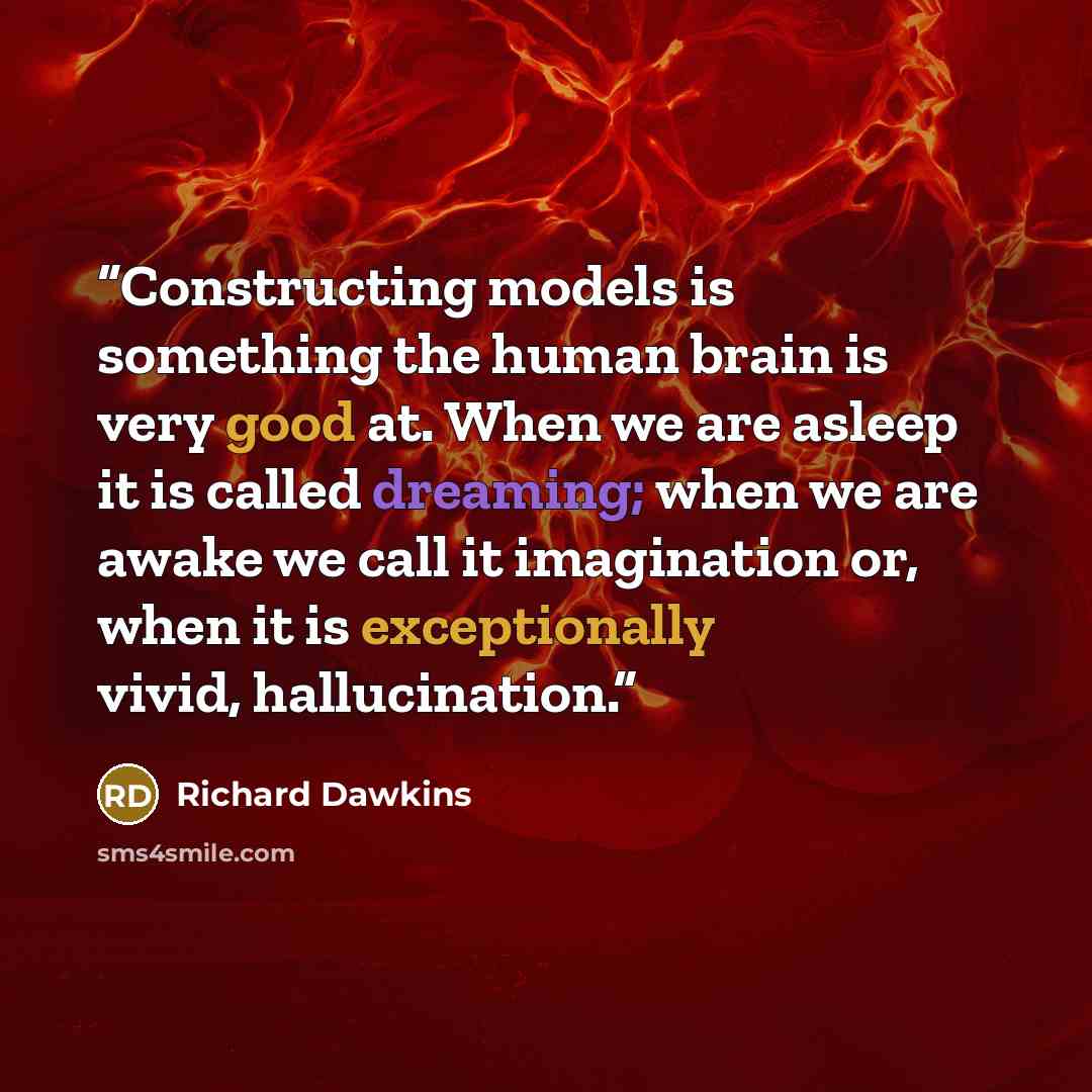 “Constructing models is something the human brain is very good at. When we are asleep it is called dreaming; when we are awake we call it imagination or, when it is exceptionally vivid, hallucination.” quote by Richard Dawkins