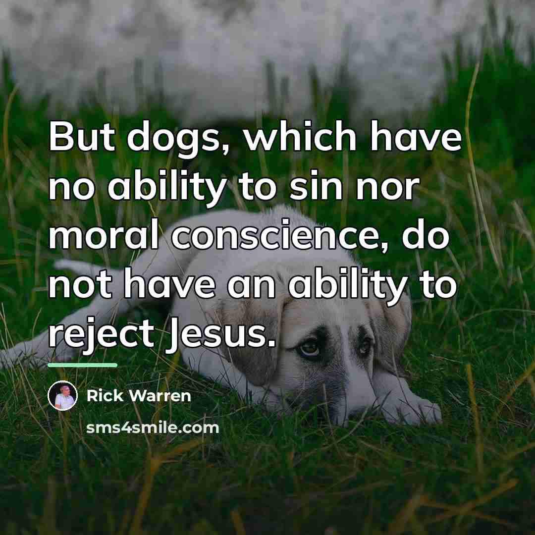 “But dogs, which have no ability to sin nor moral…” quote by Rick Warren