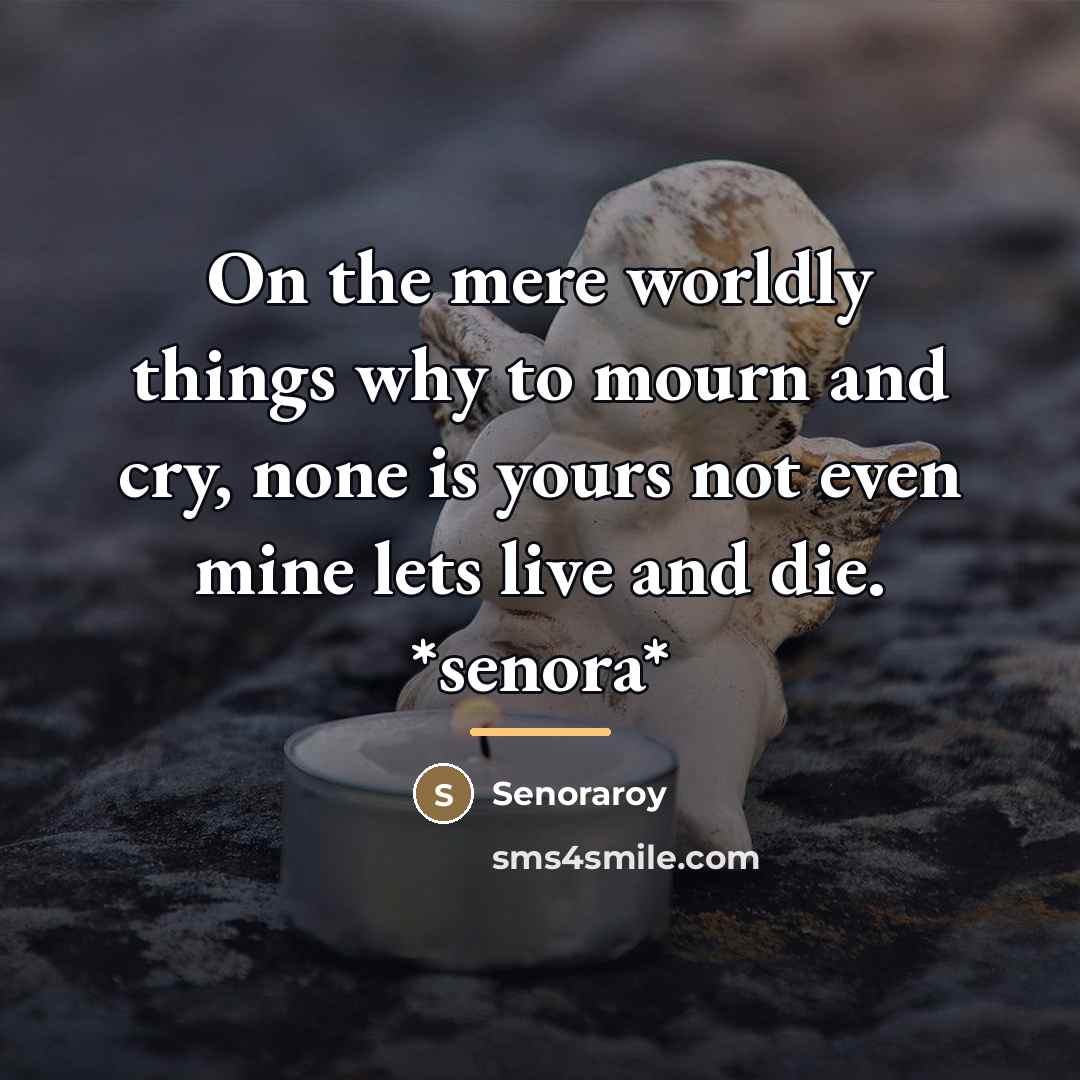 “On the mere worldly things why to mourn and cry,…” quote by Senoraroy