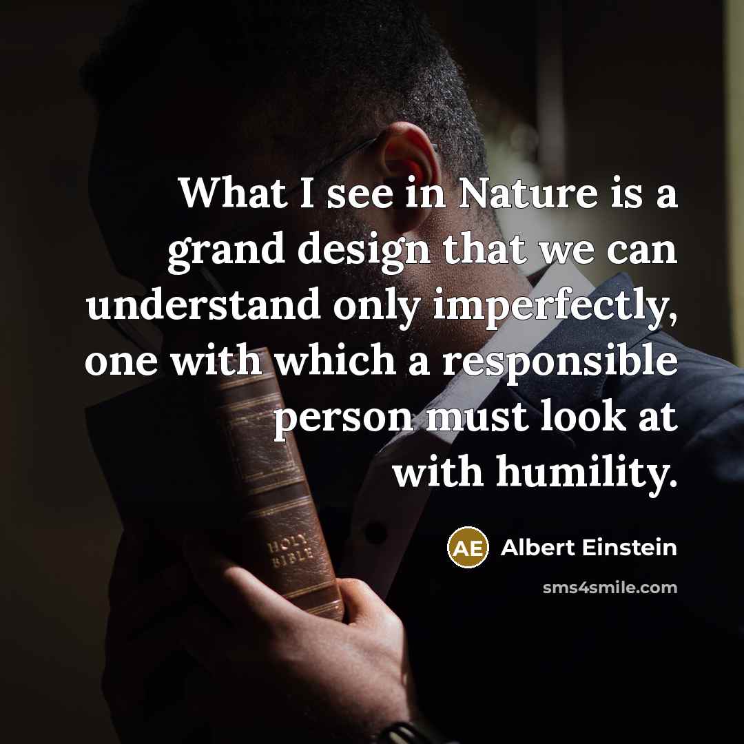 “What I see in Nature is a grand design that…” quote by Albert Einstein