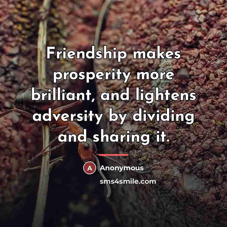 “Friendship makes prosperity more brilliant, and lightens adversity by dividing…” quote by Anonymous