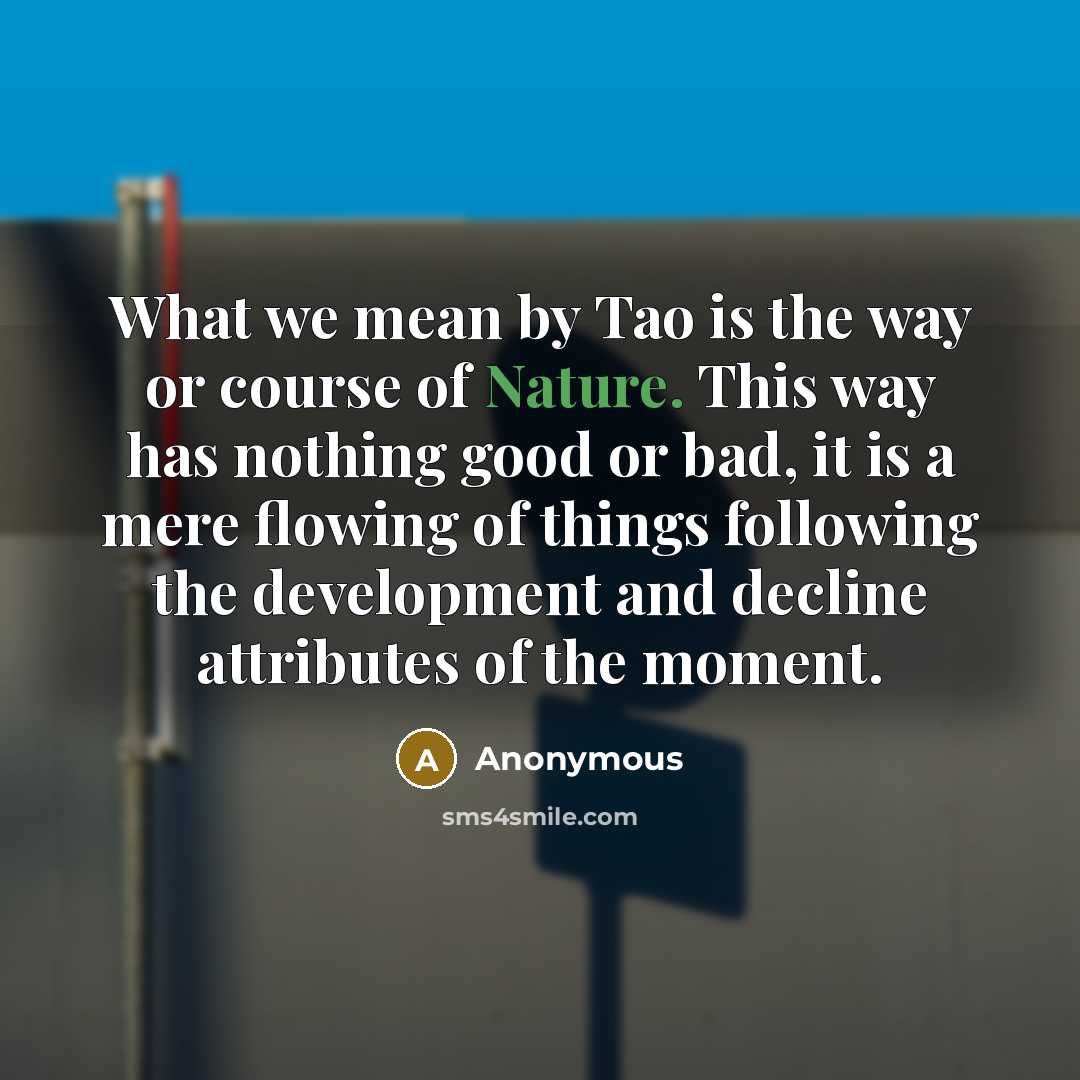 “What we mean by Tao is the way or course of Nature. This way has nothing good or bad, it is a mere flowing of things following the development and decline attributes of the moment.” quote by Anonymous