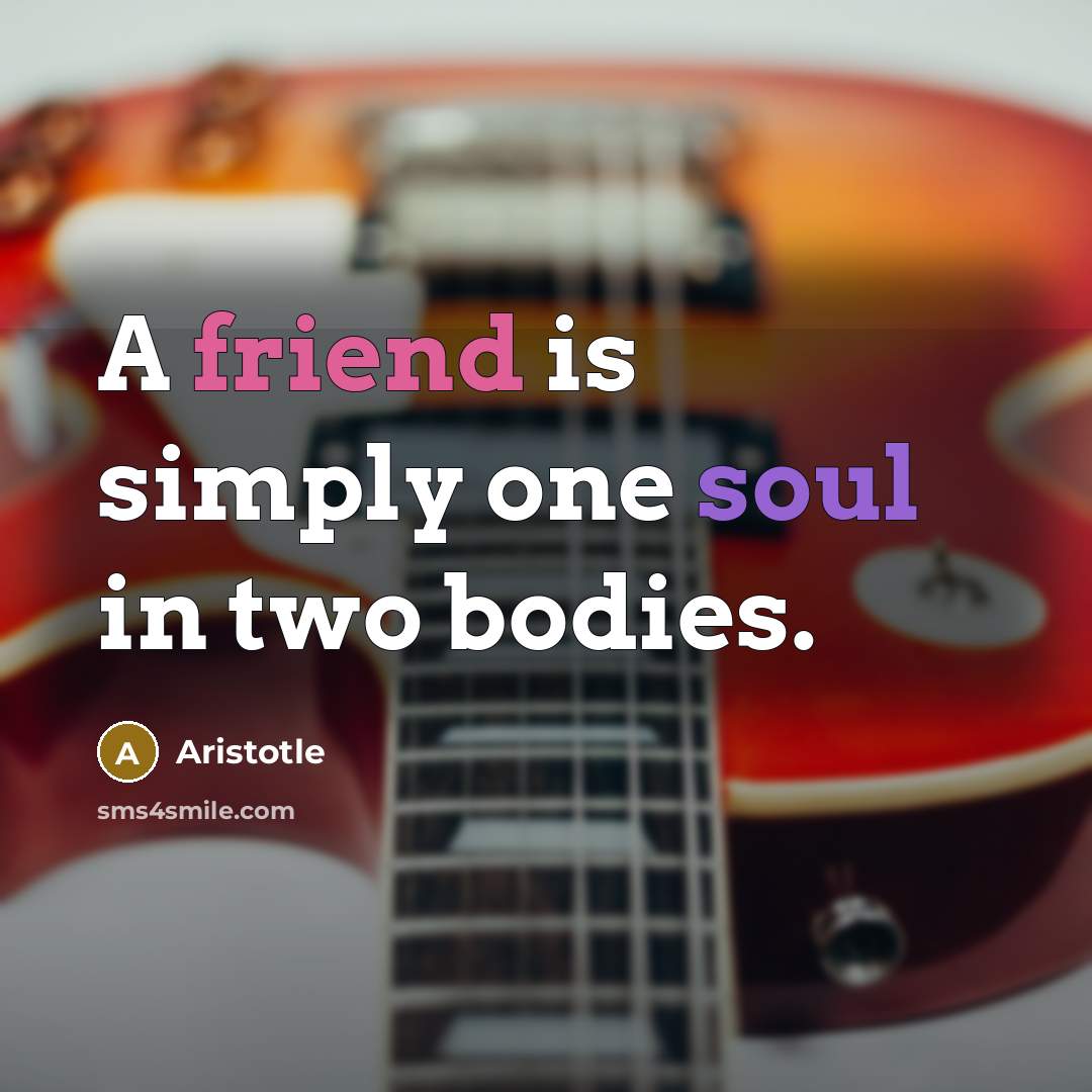 “A friend is simply one soul in two bodies.” quote by Aristotle