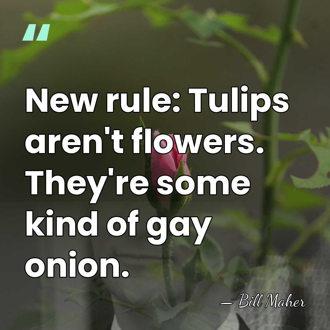 New rule: Tulips aren't flowers. They're some kind of gay onion. - Bill Maher