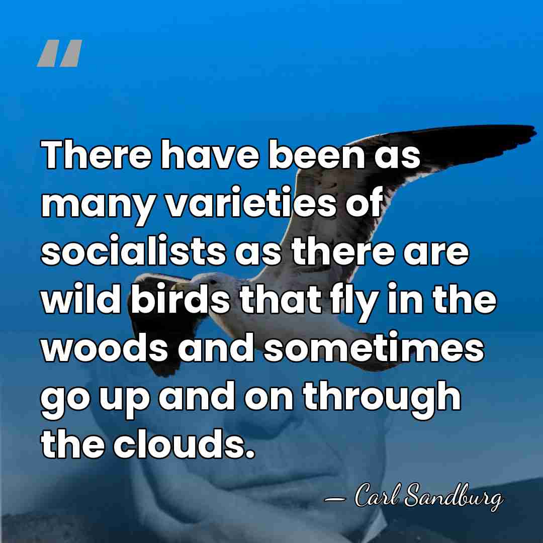 There have been as many varieties of socialists as there are wild&hellip; - Carl Sandburg
