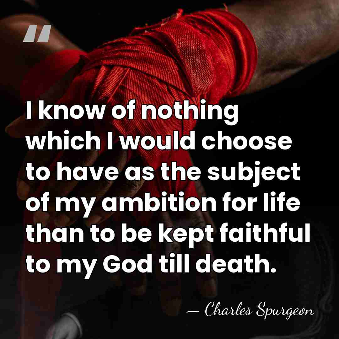 I know of nothing which I would choose to have as the&hellip; - Charles Spurgeon