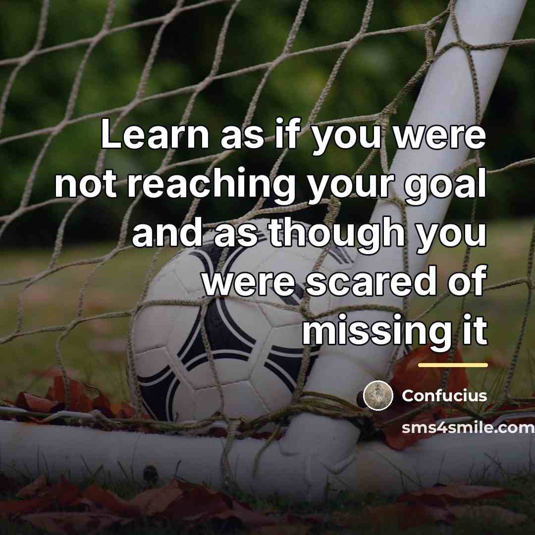 “Learn as if you were not reaching your goal and…” quote by Confucius