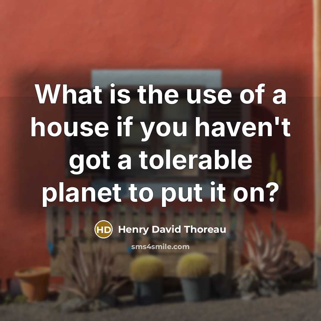“What is the use of a house if you haven't…” quote by Henry David Thoreau