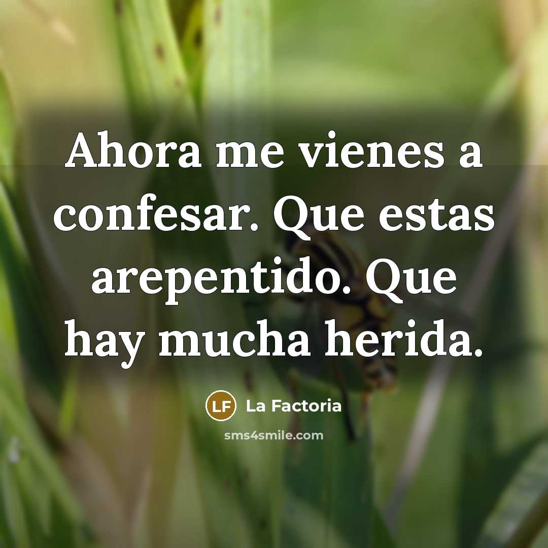 “Ahora me vienes a confesar. Que estas arepentido. Que hay…” quote by La Factoria