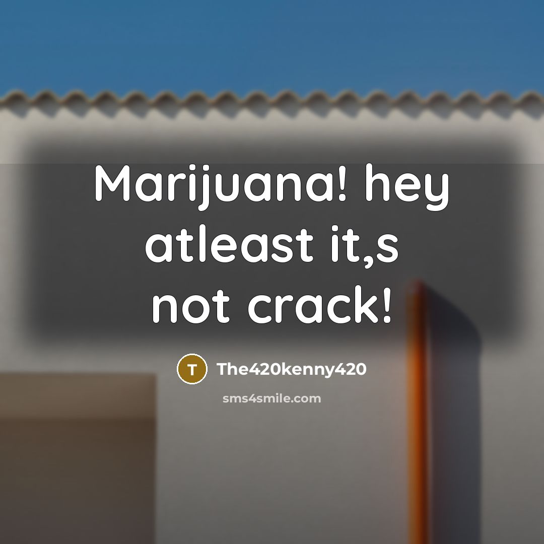 “Marijuana! hey atleast it,s not crack!…” quote by The420kenny420