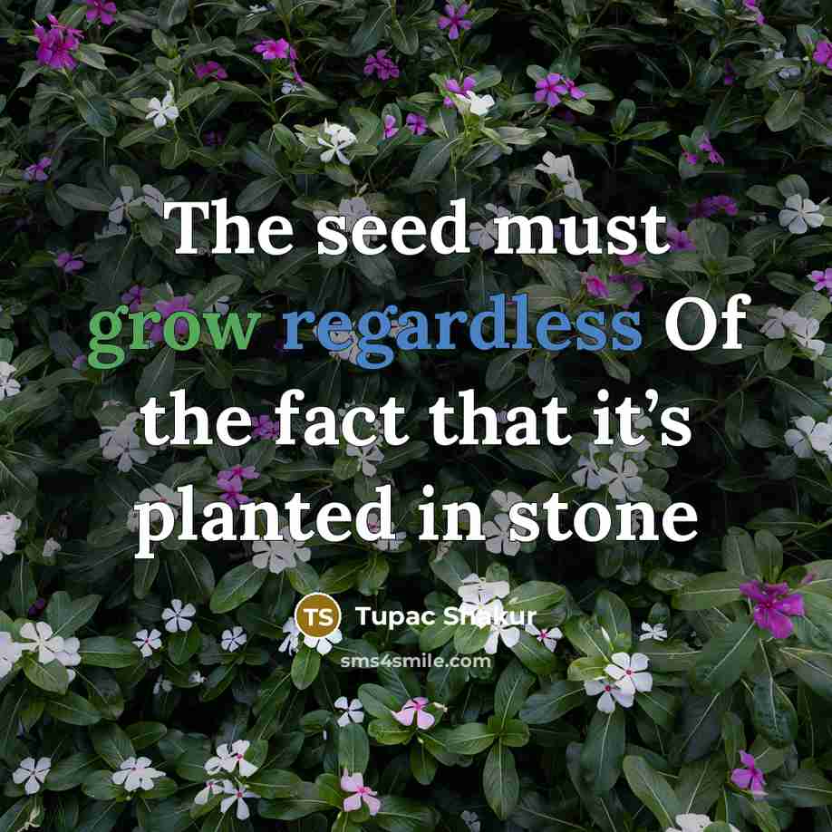 “The seed must grow regardless Of the fact that it’s…” quote by Tupac Shakur