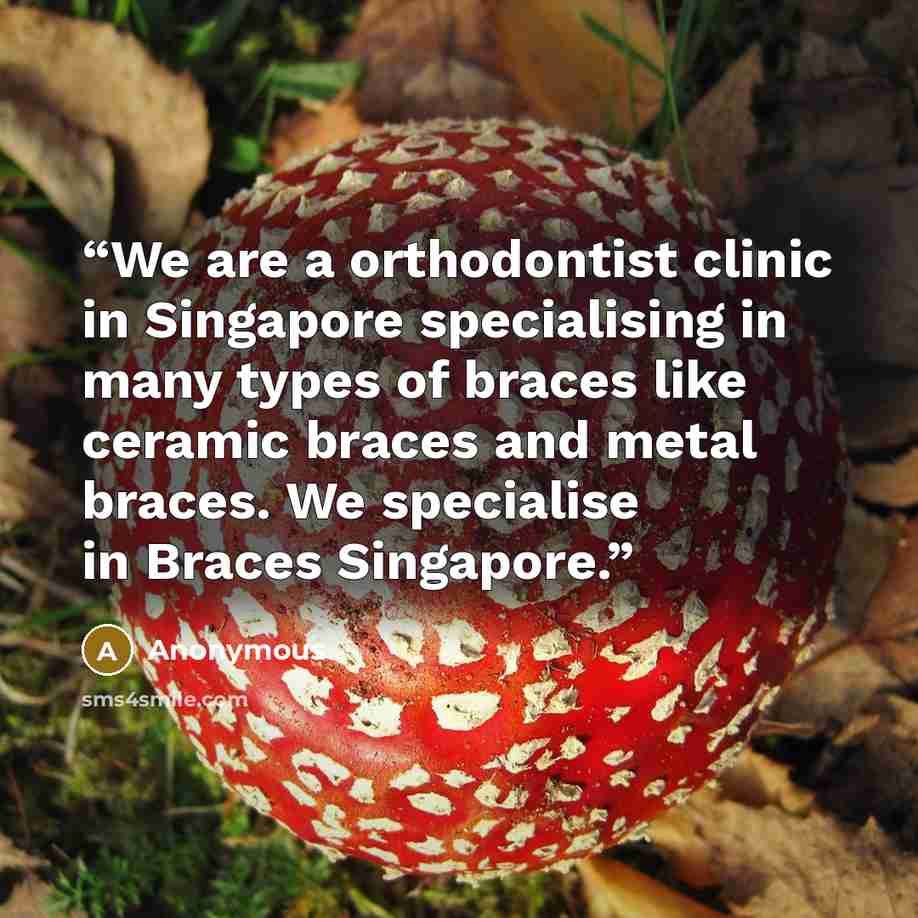 “We are a orthodontist clinic in Singapore specialising in many types of braces like ceramic braces and metal braces. We specialise in Braces Singapore.” quote by Anonymous