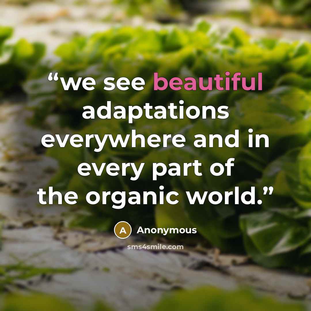 “we see beautiful adaptations everywhere and in every part of the organic world.” quote by Anonymous