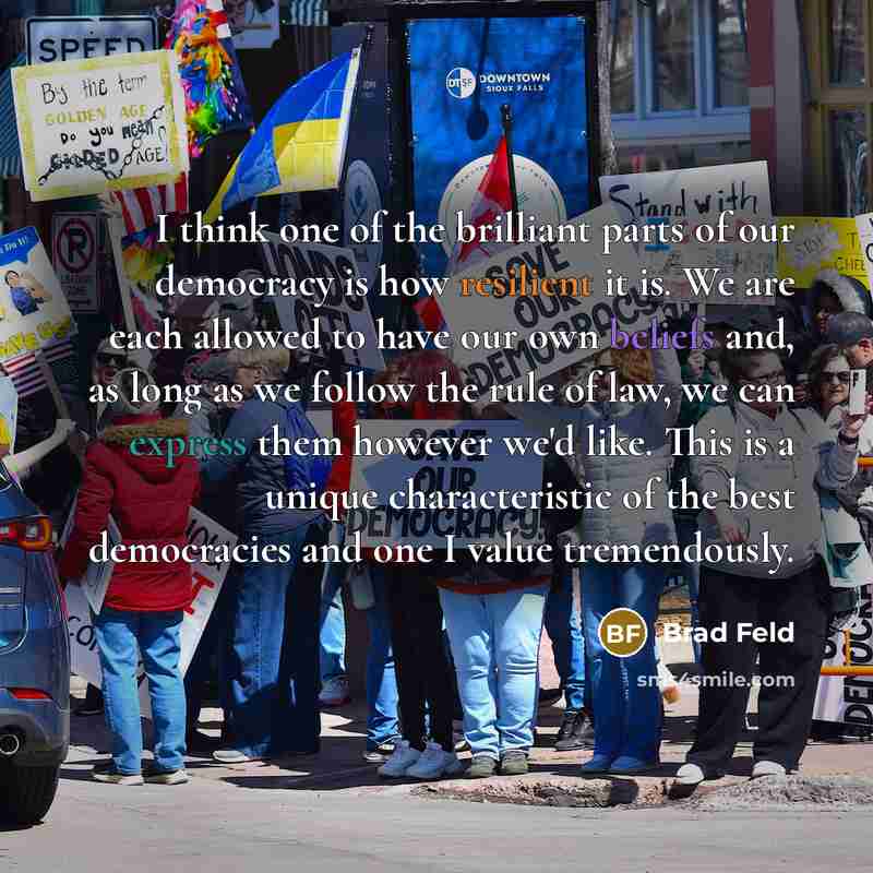 “I think one of the brilliant parts of our democracy…” quote by Brad Feld