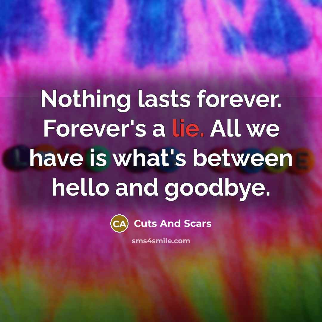 “Nothing lasts forever. Forever's a lie. All we have is…” quote by Cuts And Scars