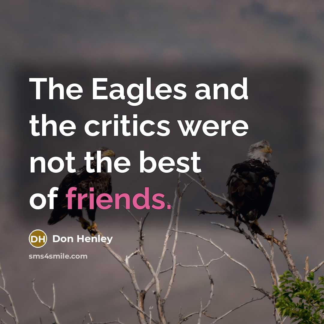 “The Eagles and the critics were not the best of…” quote by Don Henley
