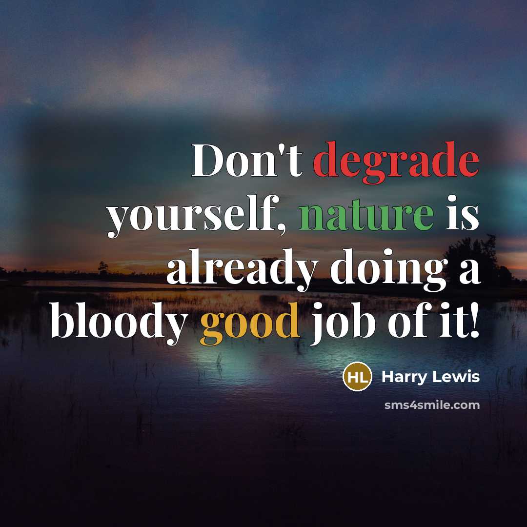 “Don't degrade yourself, nature is already doing a bloody good job of it!” quote by Harry Lewis