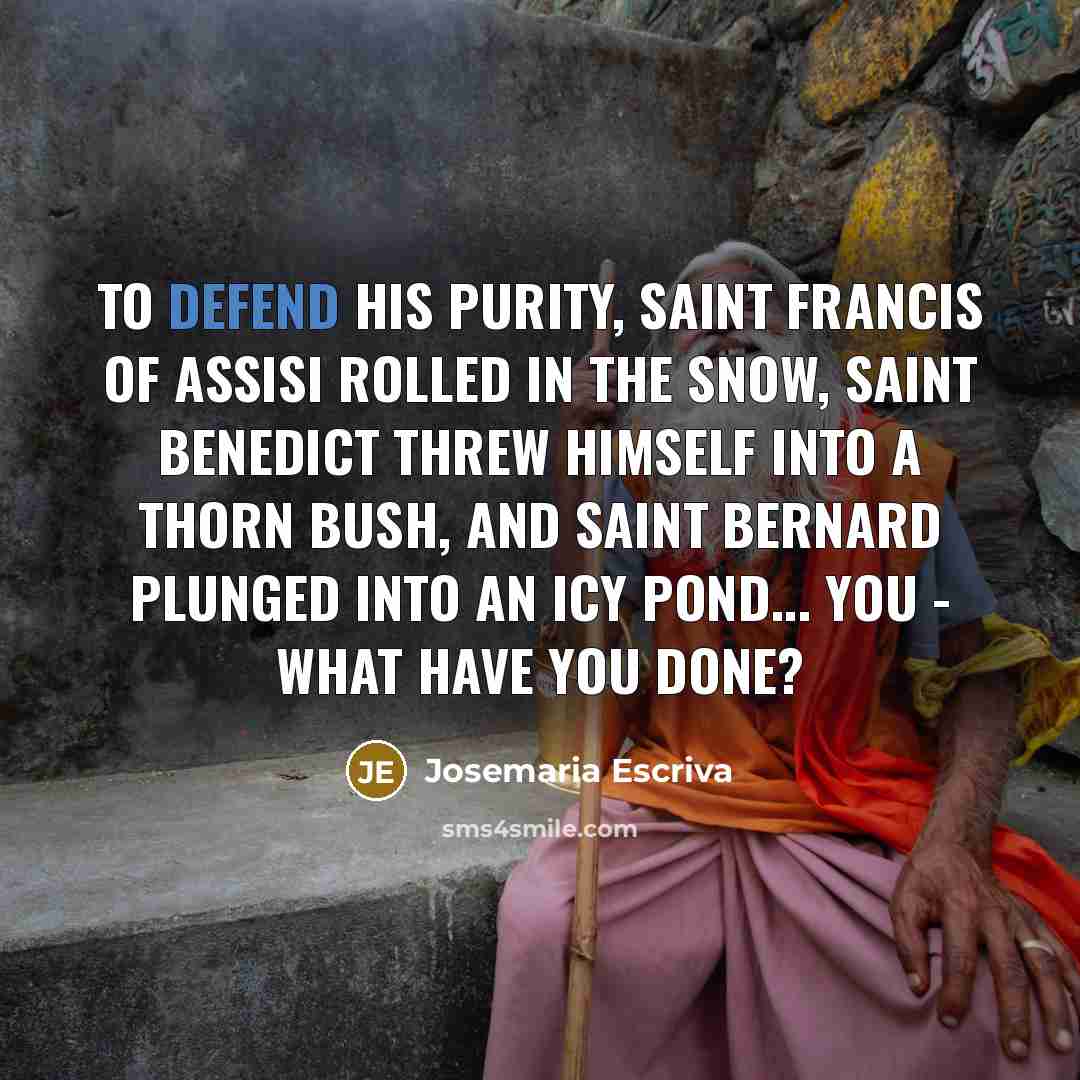 “To defend his purity, Saint Francis of Assisi rolled in…” quote by Josemaria Escriva