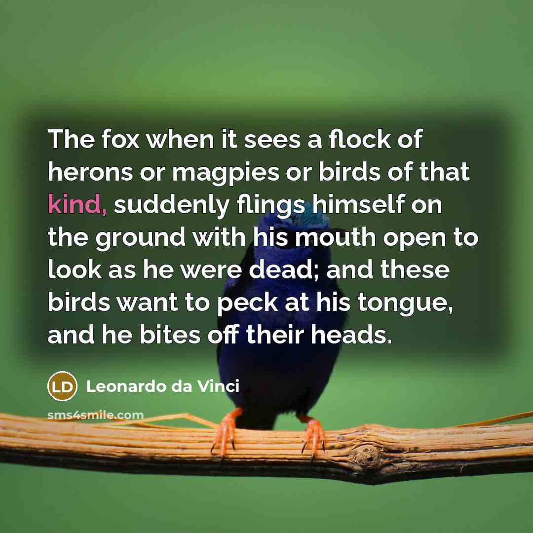 “The fox when it sees a flock of herons or…” quote by Leonardo da Vinci