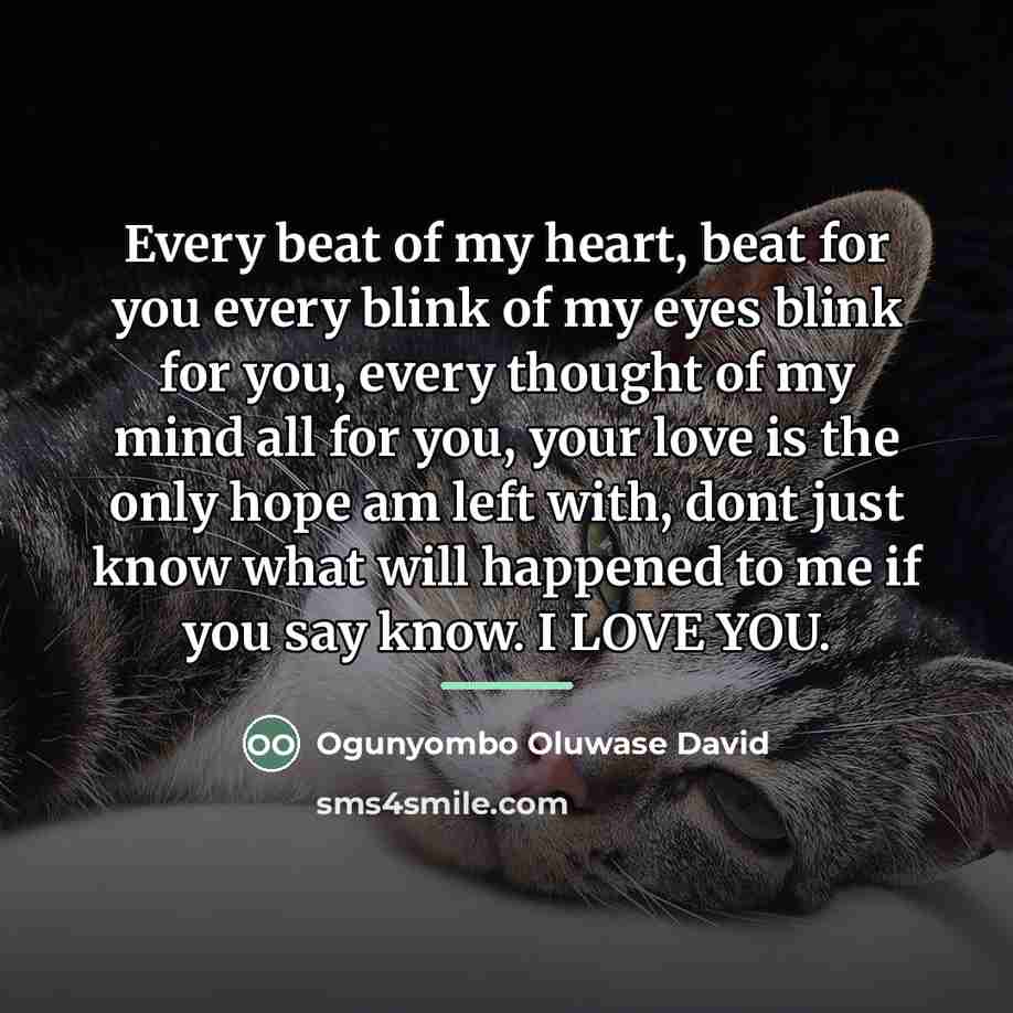 “Every beat of my heart, beat for you every blink…” quote by Ogunyombo Oluwase David