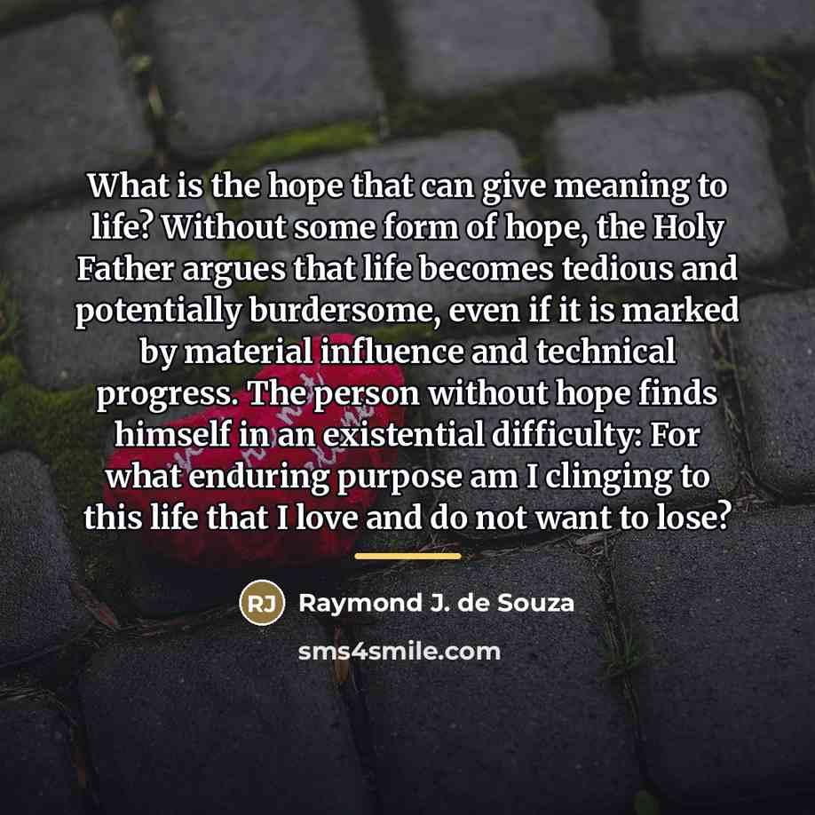 “What is the hope that can give meaning to life?…” quote by Raymond J. de Souza