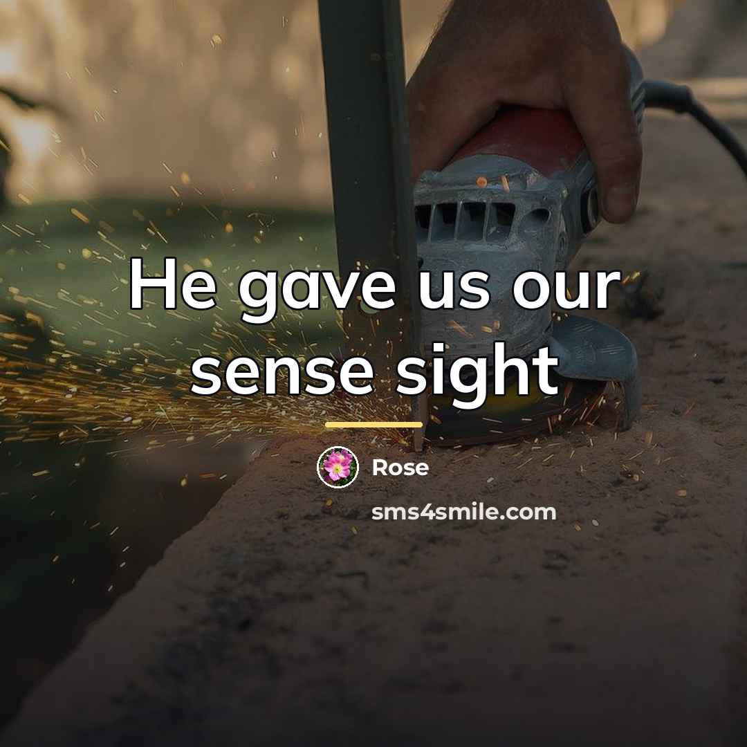 “He gave us our sense sight…” quote by Rose