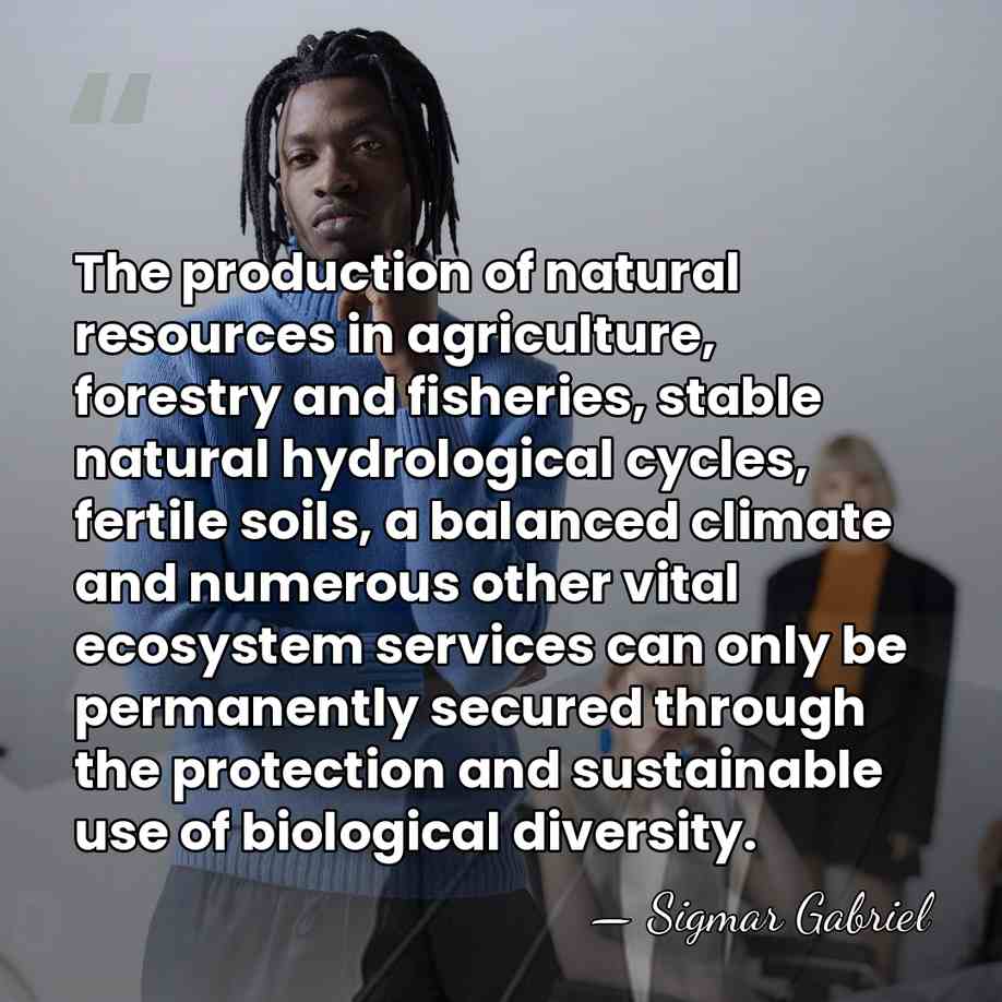 The production of natural resources in agriculture, forestry and fisheries, stable natural&hellip; - Sigmar Gabriel