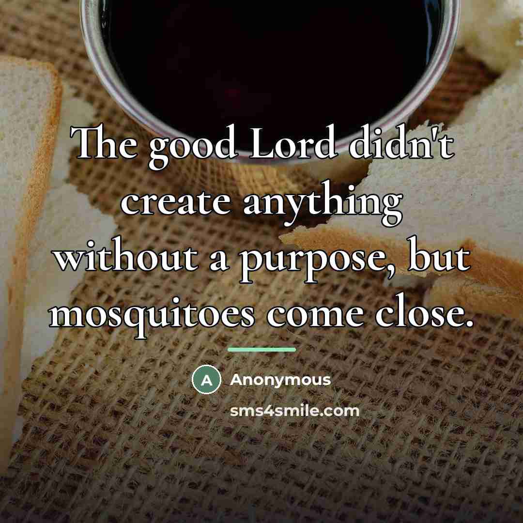 “The good Lord didn't create anything without a purpose, but…” quote by Anonymous