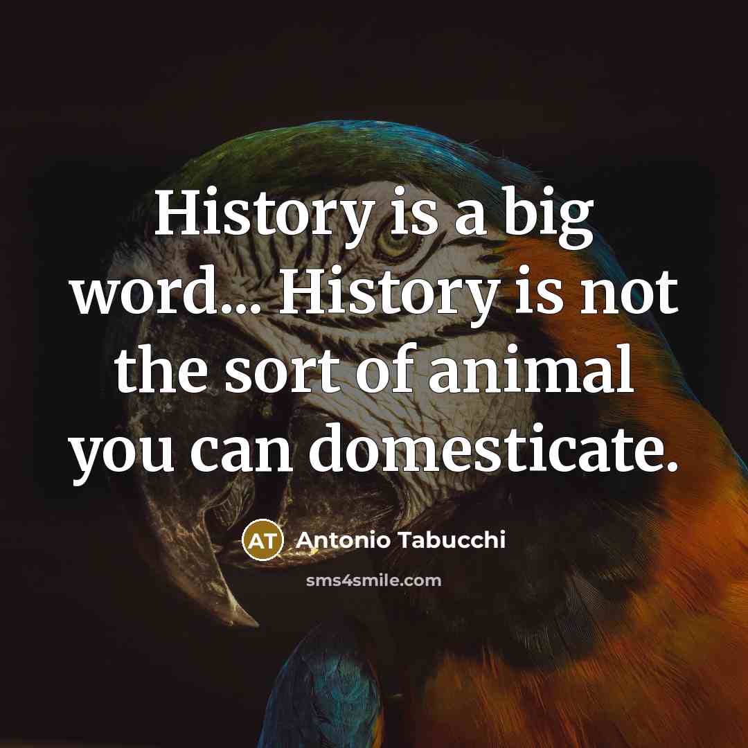 “History is a big word... History is not the sort…” quote by Antonio Tabucchi
